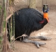 birdpark1083