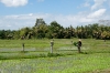 ubud1160