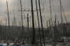 DSC_2541.jpg
