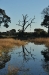 botswana_0837