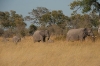 botswana_1055