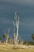 DSC_0121.jpg