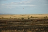 DSC_0033.jpg