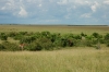 DSC_0090.jpg