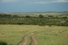 DSC_0113.jpg