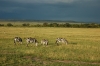 DSC_0115.jpg