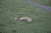 DSC_0124.jpg