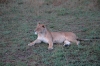 DSC_0129.jpg