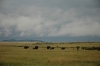 DSC_0133.jpg
