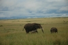 DSC_0135.jpg