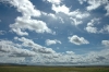 DSC_0138.jpg