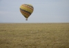 DSC_9005a.jpg
