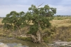 DSC_9104a.jpg
