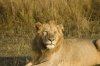 DSC_9147a.jpg