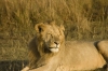 DSC_9152a.jpg