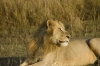 DSC_9154a.jpg