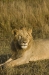 DSC_9160a.jpg
