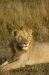 DSC_9173a.jpg