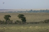 DSC_9182a.jpg