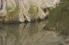 DSC_9187a.jpg