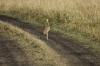 DSC_9189a.jpg