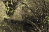 DSC_9226a.jpg