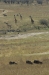 DSC_9256a.jpg