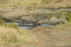 MLS_0018a.jpg