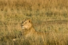 MLS_0024a_1.jpg