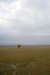 MLS_0029a.jpg