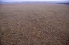 MLS_0033a.jpg