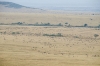 MLS_0049a.jpg