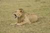 MLS_0053a.jpg
