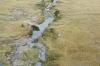 MLS_0054a.jpg