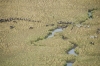 MLS_0083a.jpg