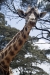 MLS_0144a_1.jpg