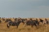 MLS_0165.jpg