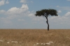 MLS_0192.jpg