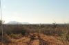 madikwe1890