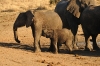 madikwe1926