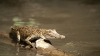 Queensland_0389