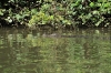 queensland0460