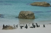 DSC_0060.jpg