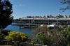 sydney0399