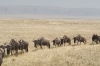 22-This natural amphitheater is the Serengeti in miniature